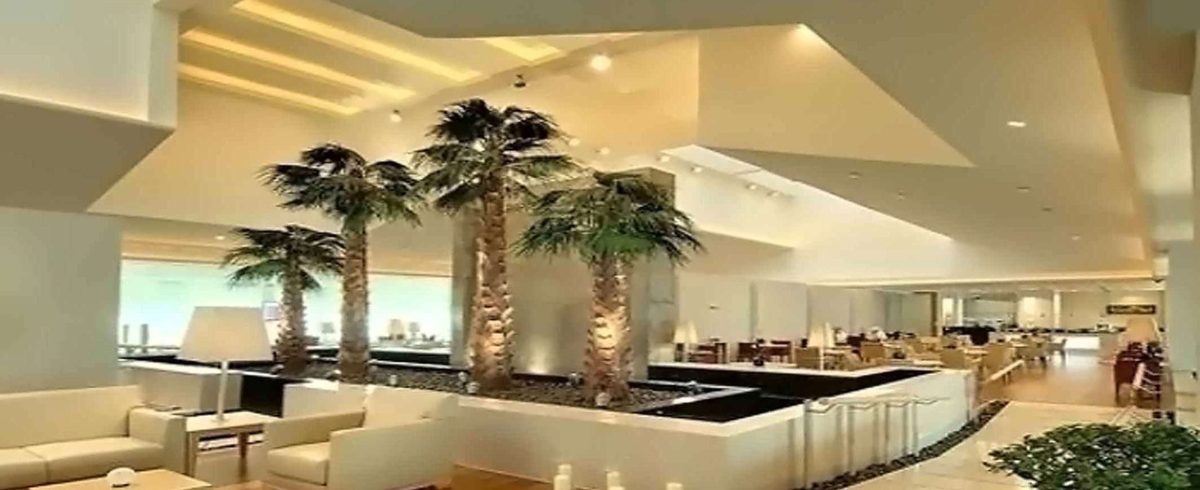 Terminal lounge with indoor palm trees, timber flooring and warm cove lighting